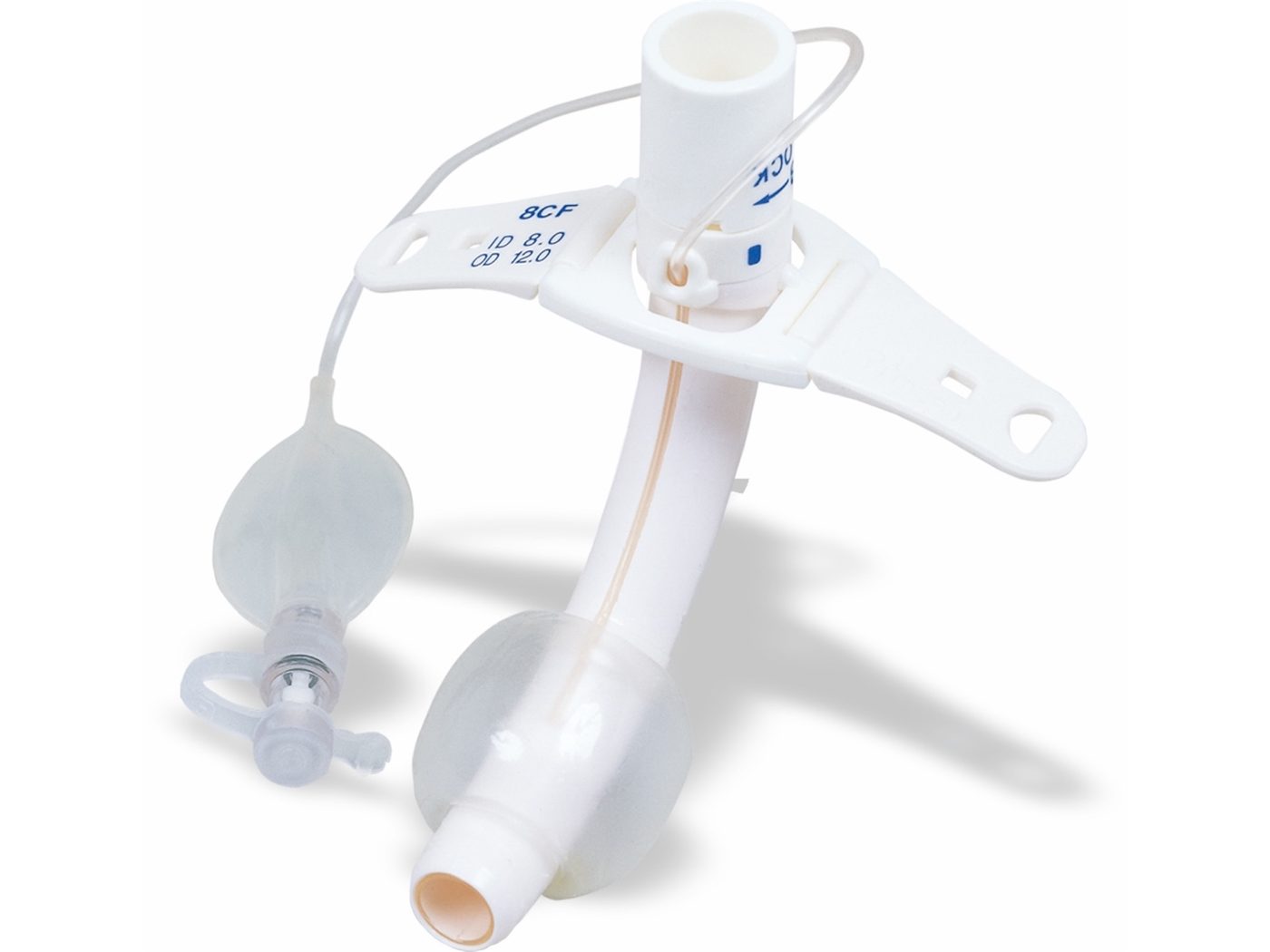D-CF(Cuff + Fenestra)