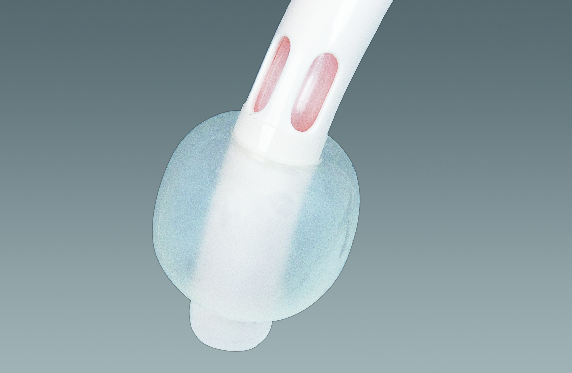제품 이미지